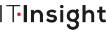 Logo it insight
